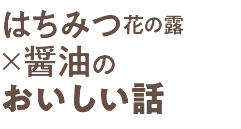 はちみつ「花の露」×醤油のおいしい話