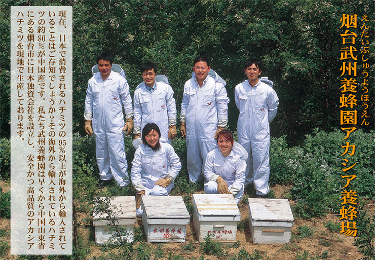烟台武州養蜂園アカシア養蜂場
