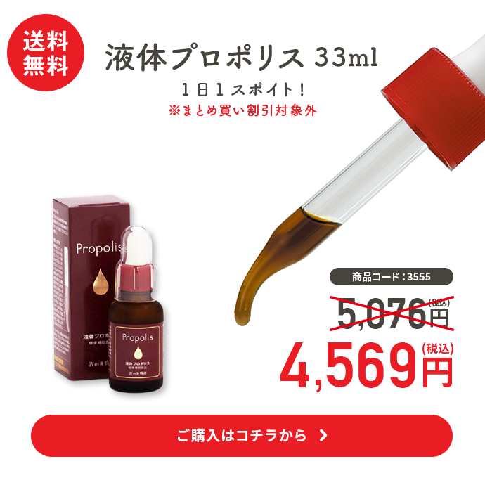2021新作】 ショップあおぞら お徳用 50セット ヤマト エコミュアラビック 補充用 E NA960