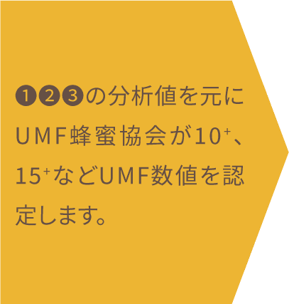 ❶❷❸の分析値を元にUMF蜂蜜協会が10+、15+などUMF数値を認定します。