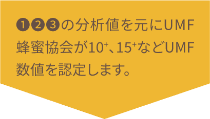 ❶❷❸の分析値を元にUMF蜂蜜協会が10+、15+などUMF数値を認定します。