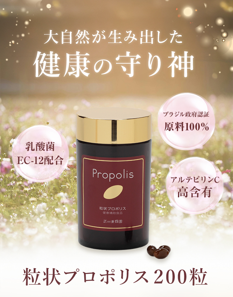 粒状プロポリス200粒 商品説明1
