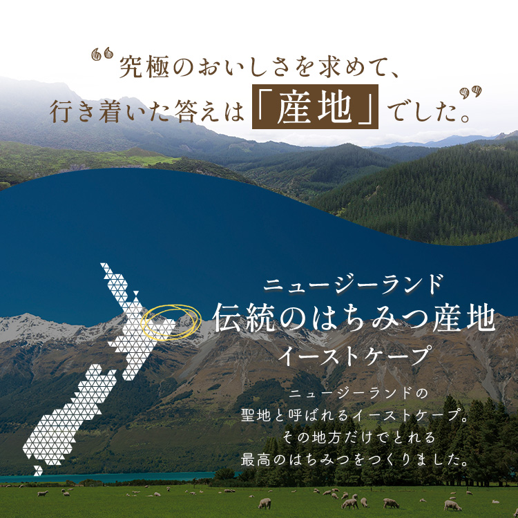 ランディング用