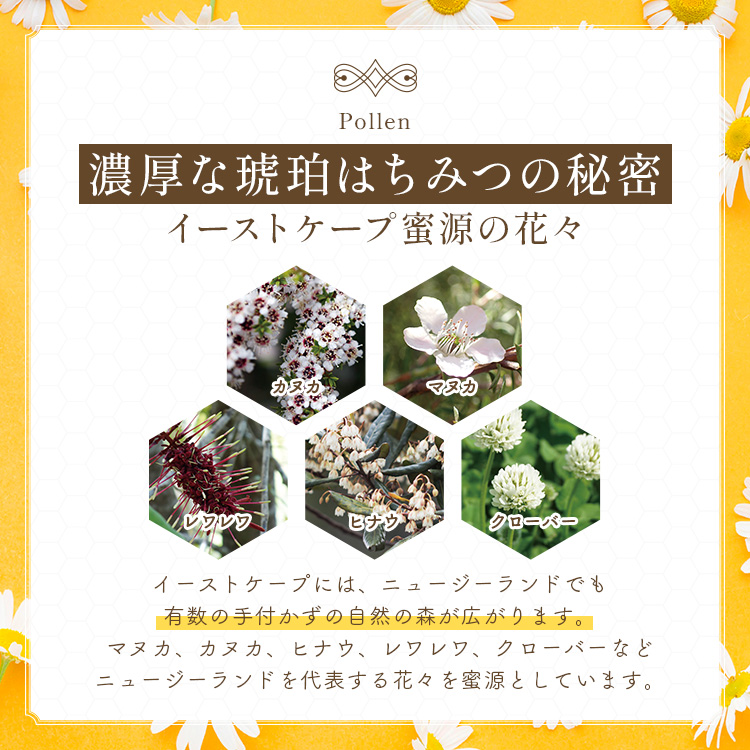 ランディング用