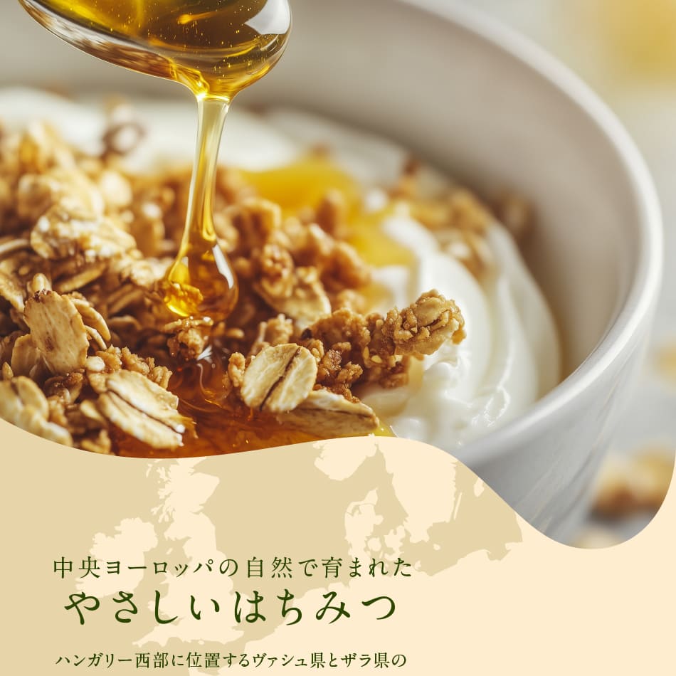 ランディング用