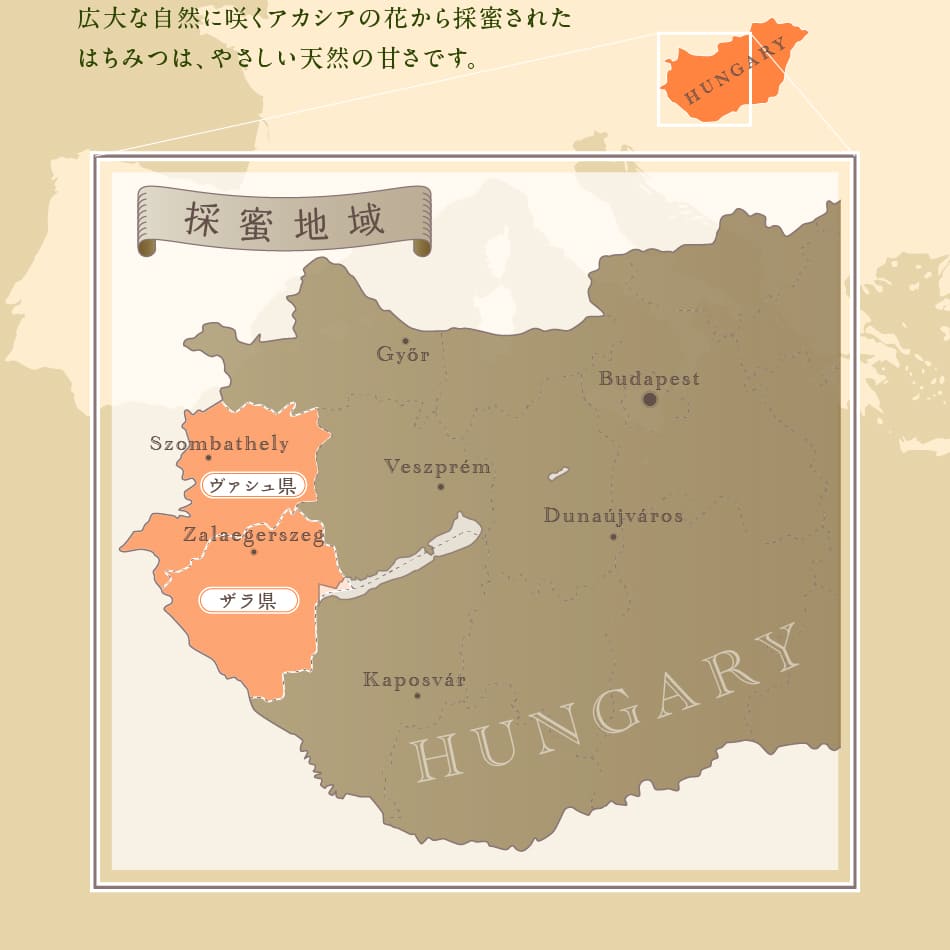 ランディング用