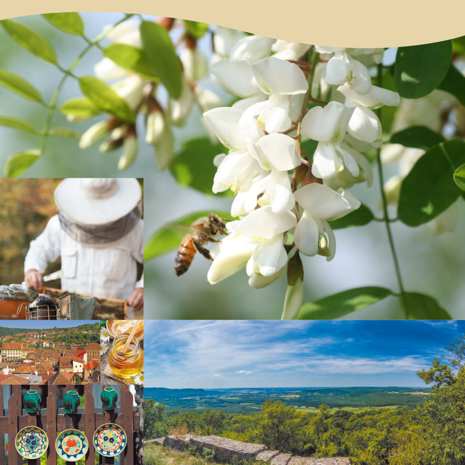 ランディング用