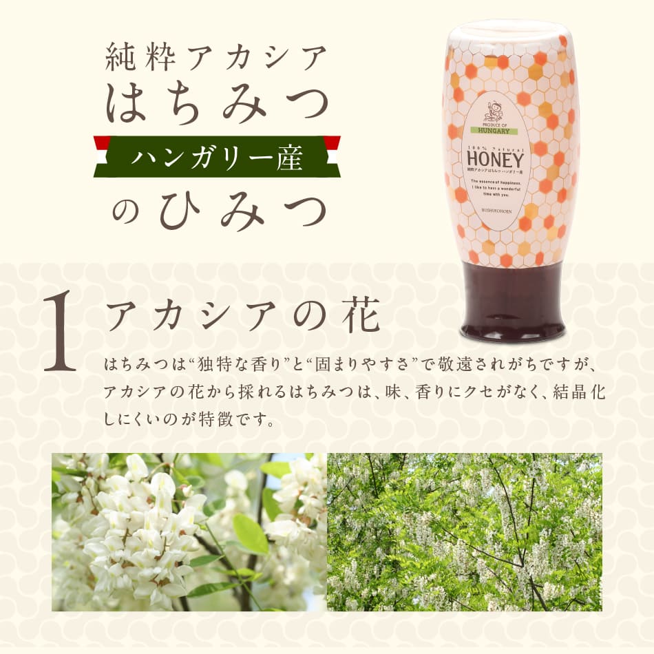 ランディング用