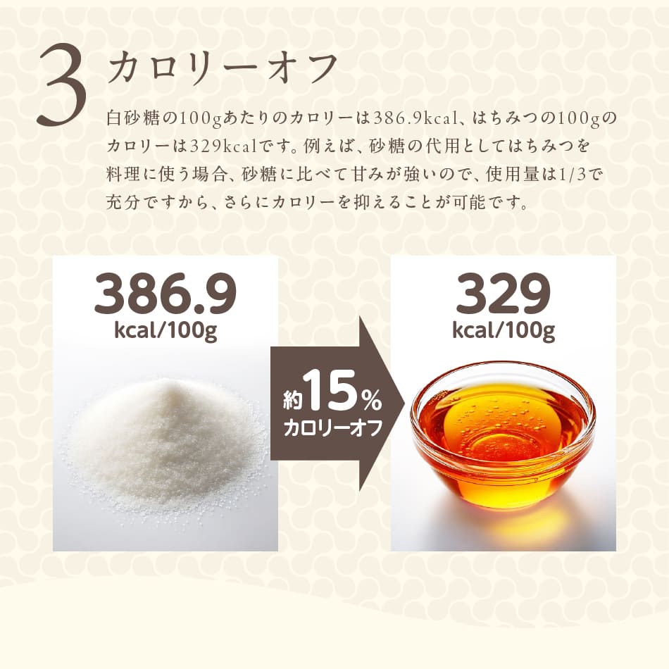 ランディング用