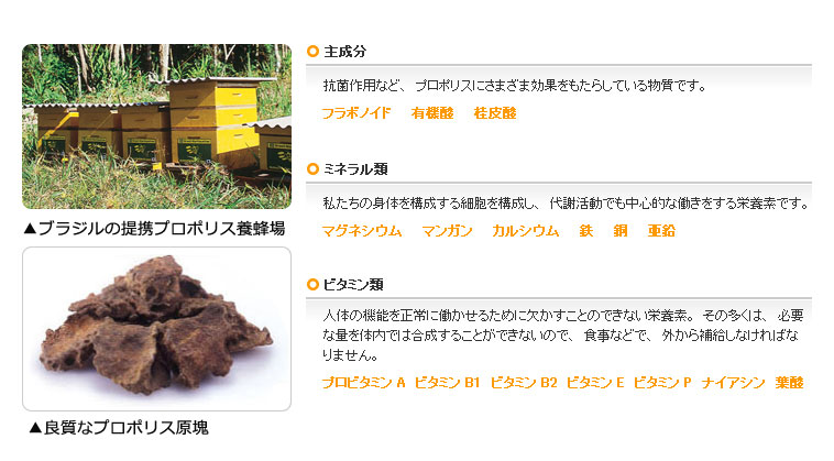 プロポリス