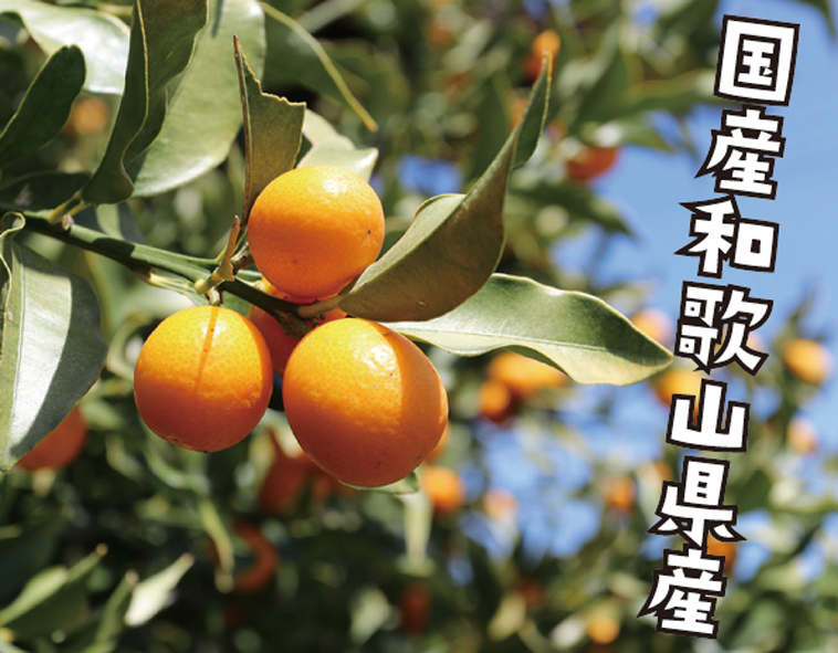 r_きんかんの木