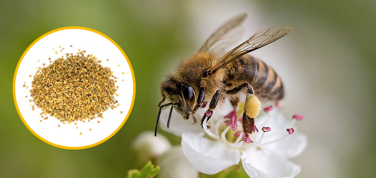 花粉荷　140g2本セット　ローヤルゼリーの素ともなる花粉は栄養価バツグン